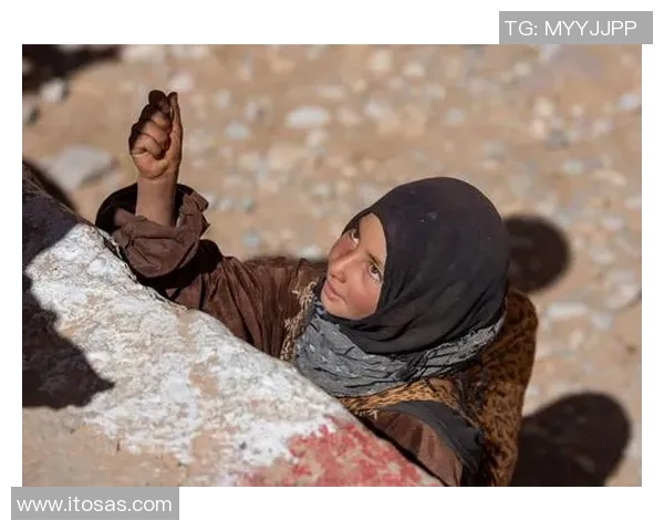 马里迪莫与托德拉的激烈对决谁能在这场比赛中脱颖而出